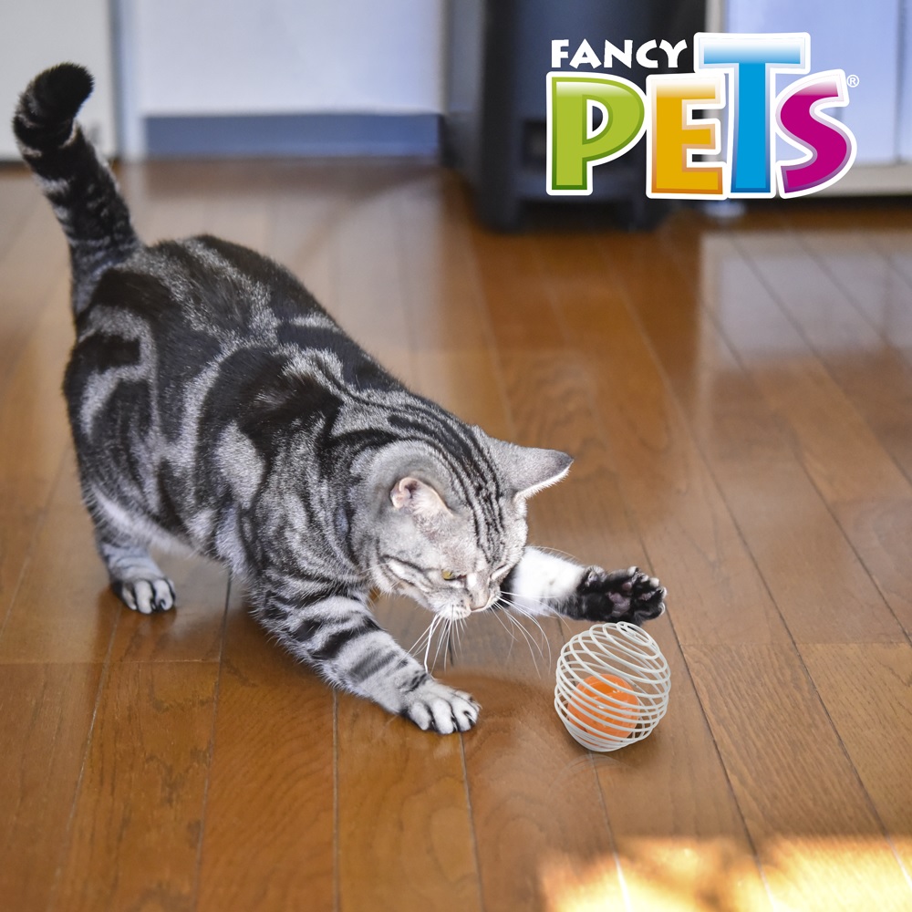 Foto 4 | Juguete para Gato Pelota Enjaulada Fancy Pets Sound