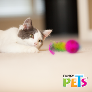 Foto 2 | Fancy Pets Juguete Ratón Con Plumas Para Gato Mide 4 Centímetros