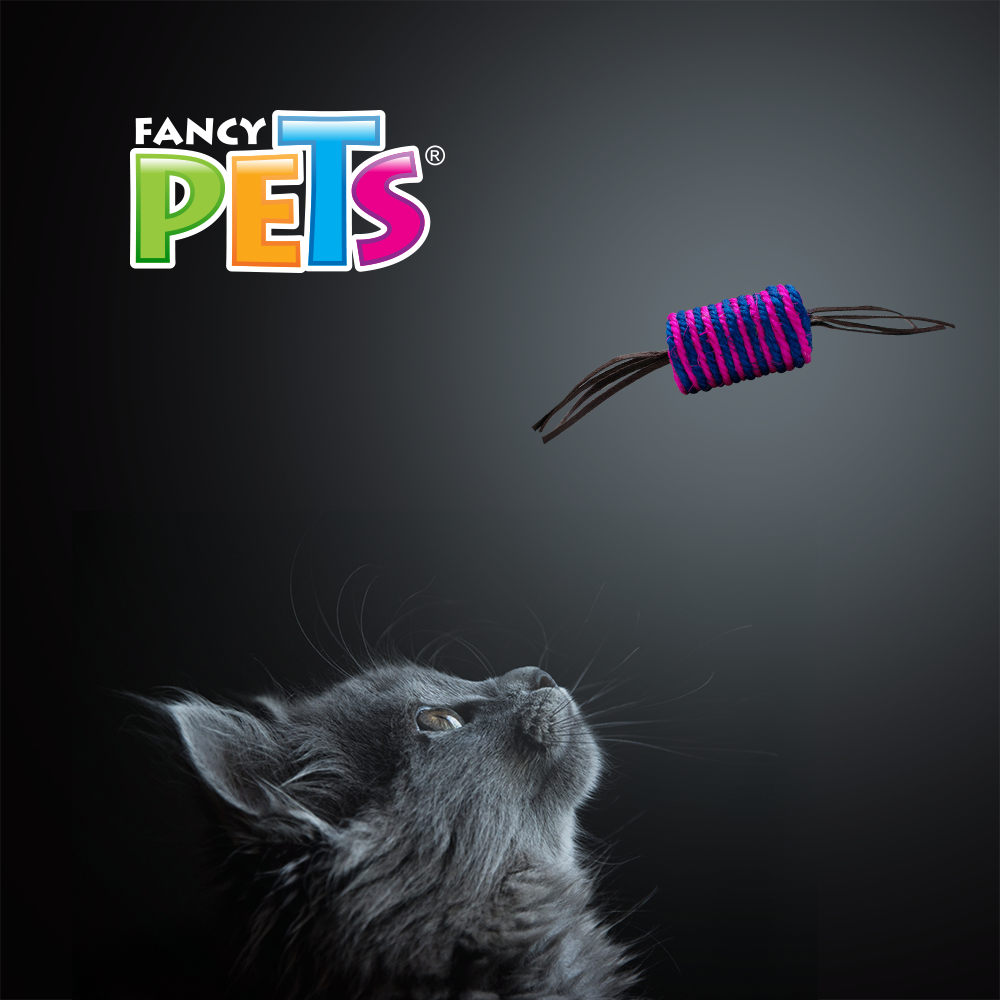 Foto 3 pulgar | Fancy Pets Juguete Cilindro Con Barbitas Para Gato Mide 4 Centímetros