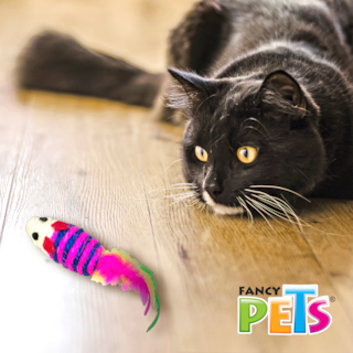 Foto 2 | Fancy Pets Juguete Ratón Con Plumas Para Gato Mide 7 Centímetros