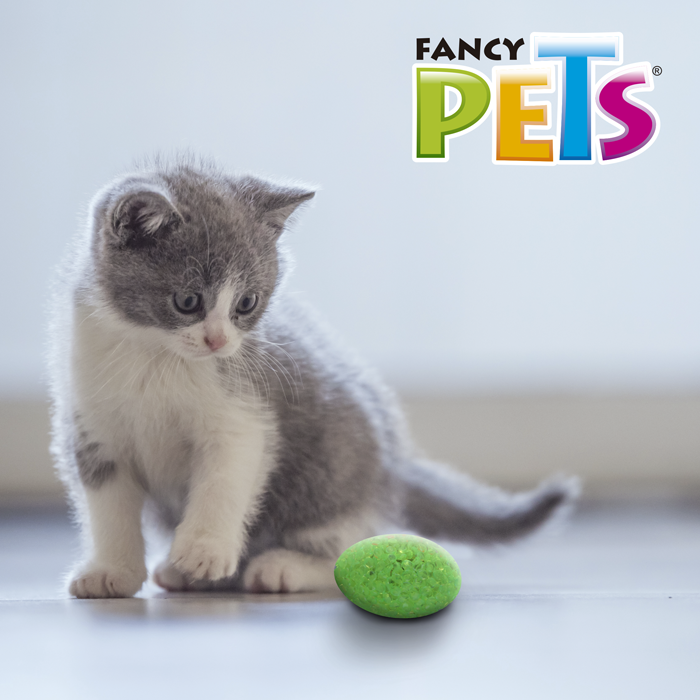 Foto 8 pulgar | Fancy Pets Set De Juguetes Surtidos Catch Para Gato Contiene 12 Piezas
