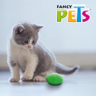 Foto 7 | Fancy Pets Set De Juguetes Surtidos Catch Para Gato Contiene 12 Piezas