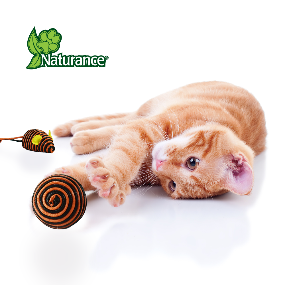 Foto 4 pulgar | Naturance Ecoplay Juguete Bola Y Ratón Para Gato Con 2 Piezas