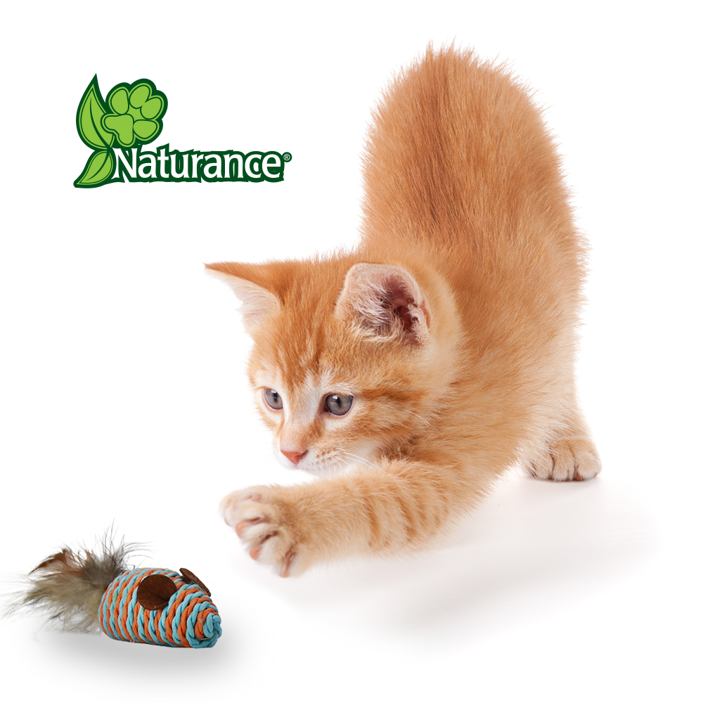 Foto 4 pulgar | Naturance Ecoplay Juguete Ratón Con Plumas Para Gato Con 2 Piezas