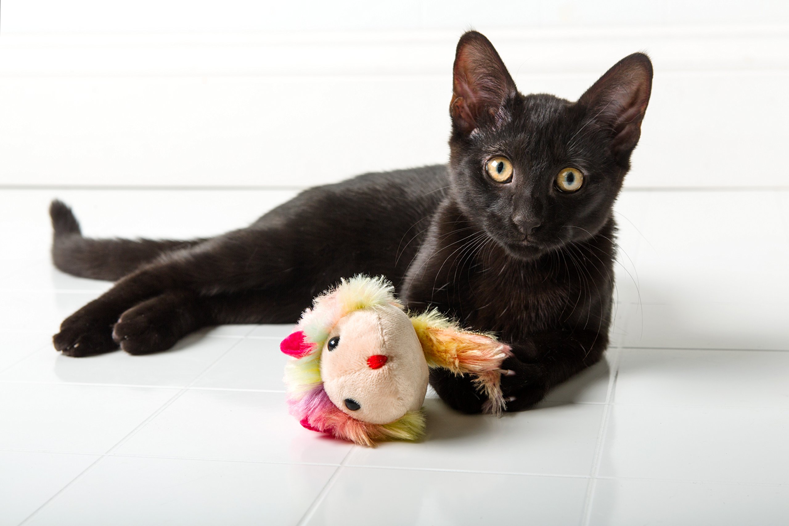 Foto 4 | Ratón Vibrador Para Gatos Hartz, Solo Para Gatos Corriendo, Roedores - Venta Internacional.