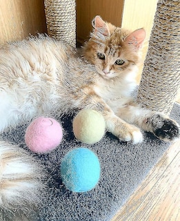 Foto 5 | Pelota Interactiva Inteligente Para Gatos Huoguo Con Hierba Gatera Amarilla - Venta Internacional.