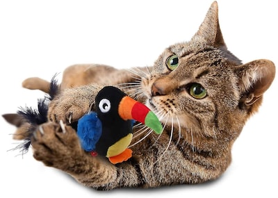Foto 1 | Juguete Interactivo Para Gatos Huoguo Animal Sound Squeaking Toucan - Venta Internacional.