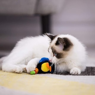 Foto 4 | Juguete Interactivo Para Gatos Huoguo Animal Sound Squeaking Toucan - Venta Internacional.
