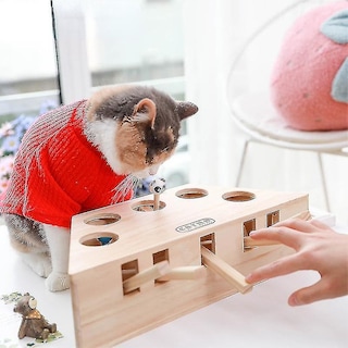 Foto 1 | Juguete Para Gatos Huoguo Triangle Interactive Pine 0,5 Kg/0,7 Kg - Venta Internacional.