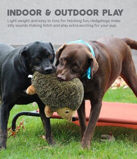 Foto 4 | Juguete De Peluche Para Perros Outward Hound Hedgehogz, Tamaño Mediano - Venta Internacional.