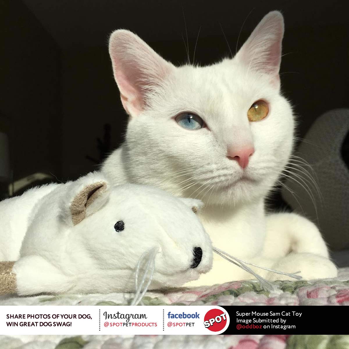 Foto 4 pulgar | Juguete Para Gatos Ethical Pets Super Mouse Sam Con Catnip & Crinkle Sound - Venta Internacional.