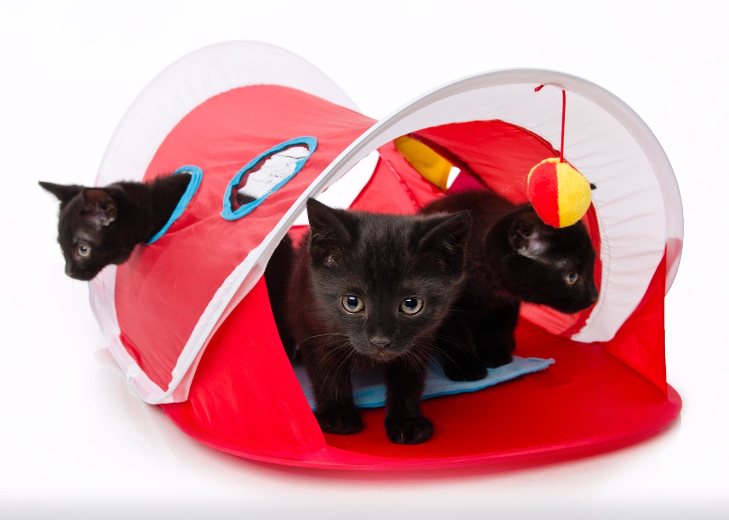 Foto 5 pulgar | Tienda De Campaña Para Gatos Hartz, Solo Para Gatos, De Todas Las Razas, Que Pueden Mirar Y Jugar - Venta Internacional