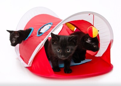 Foto 4 | Tienda De Campaña Para Gatos Hartz, Solo Para Gatos, De Todas Las Razas, Que Pueden Mirar Y Jugar - Venta Internacional