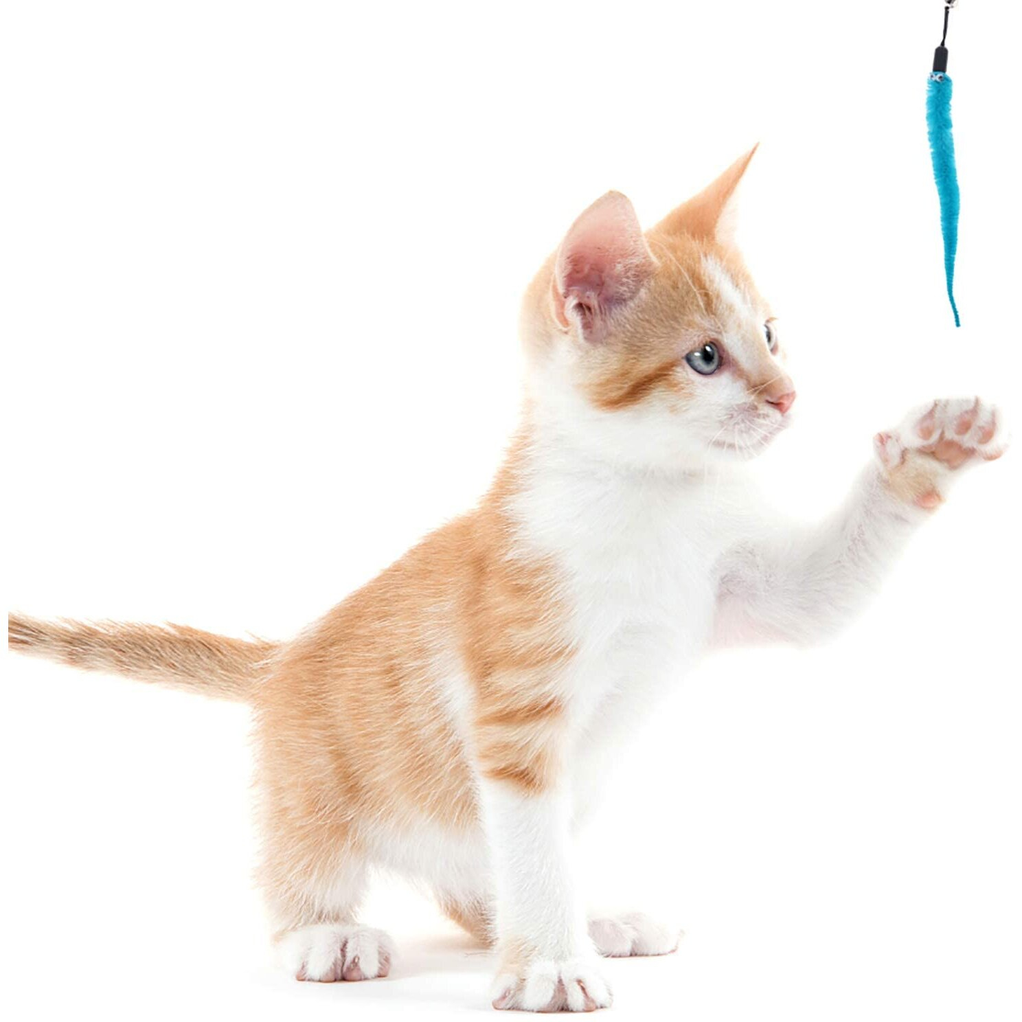 Foto 2 | Recambio De Juguetes Cat Worm Toys, 24 Unidades, 6 Colores, Para Mascotas - Venta Internacional.