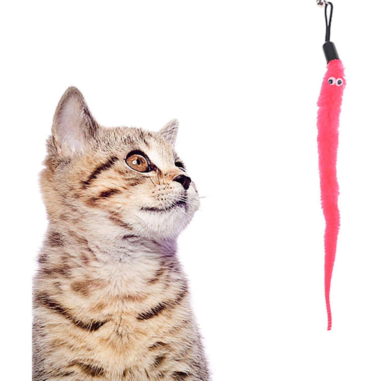 Foto 4 pulgar | Recambio De Juguetes Cat Worm Toys, 24 Unidades, 6 Colores, Para Mascotas - Venta Internacional.