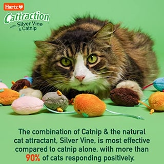 Foto 3 | Paquete Variado De Juguetes Para Gatos Hartz Cattraction Con Silver Vine Y Catn - Venta Internacional.