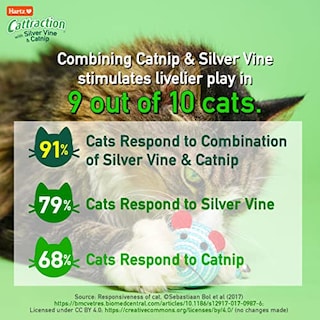 Foto 4 | Paquete Variado De Juguetes Para Gatos Hartz Cattraction Con Silver Vine Y Catn - Venta Internacional.