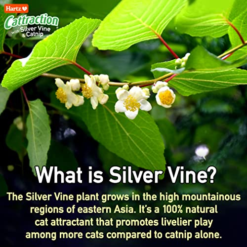Foto 6 | Paquete Variado De Juguetes Para Gatos Hartz Cattraction Con Silver Vine Y Catn - Venta Internacional.