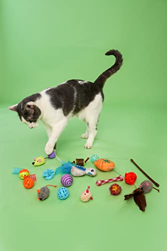 Foto 7 | Paquete Variado De Juguetes Para Gatos Hartz Cattraction Con Silver Vine Y Catn - Venta Internacional.