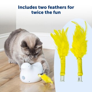 Foto 3 | Plumas De Repuesto Para Juguetes Petsafe Peek-a-bird Para Gatos, Paquete De 2 - Venta Internacional.