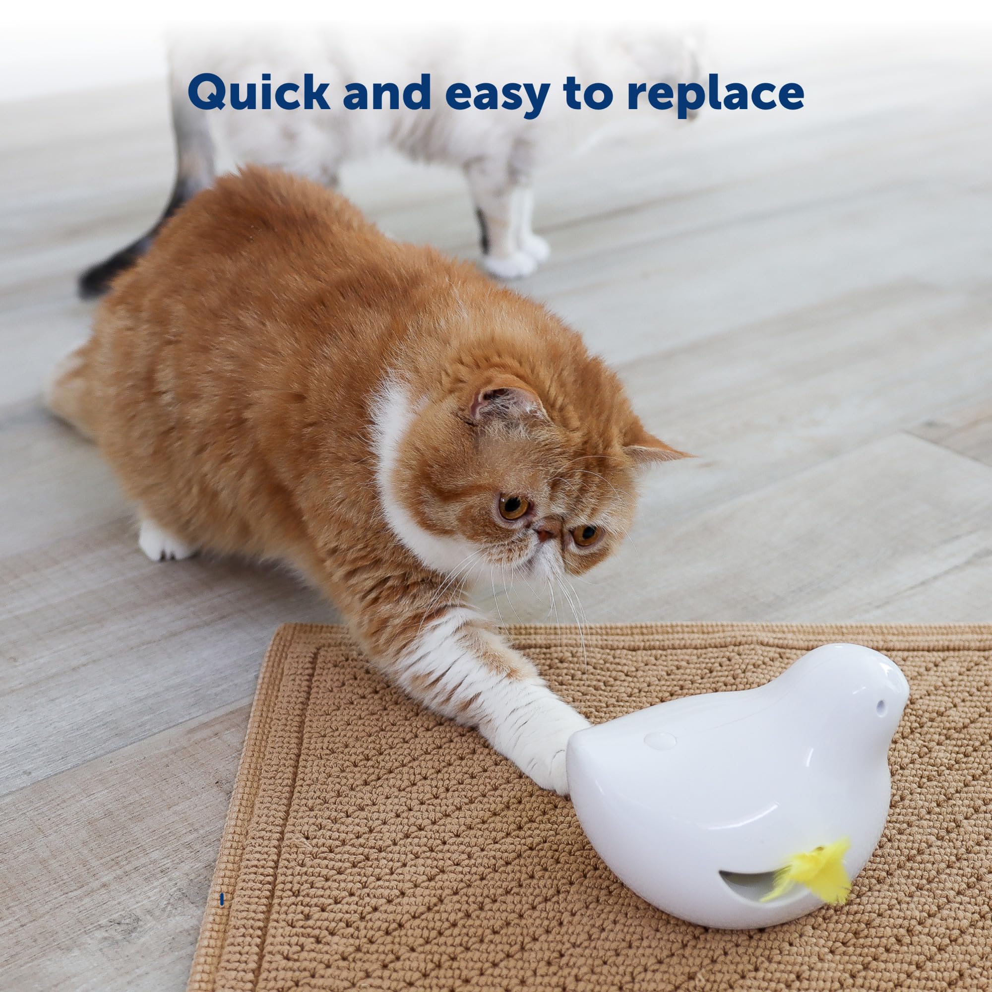 Foto 5 pulgar | Plumas De Repuesto Para Juguetes Petsafe Peek-a-bird Para Gatos, Paquete De 2 - Venta Internacional.