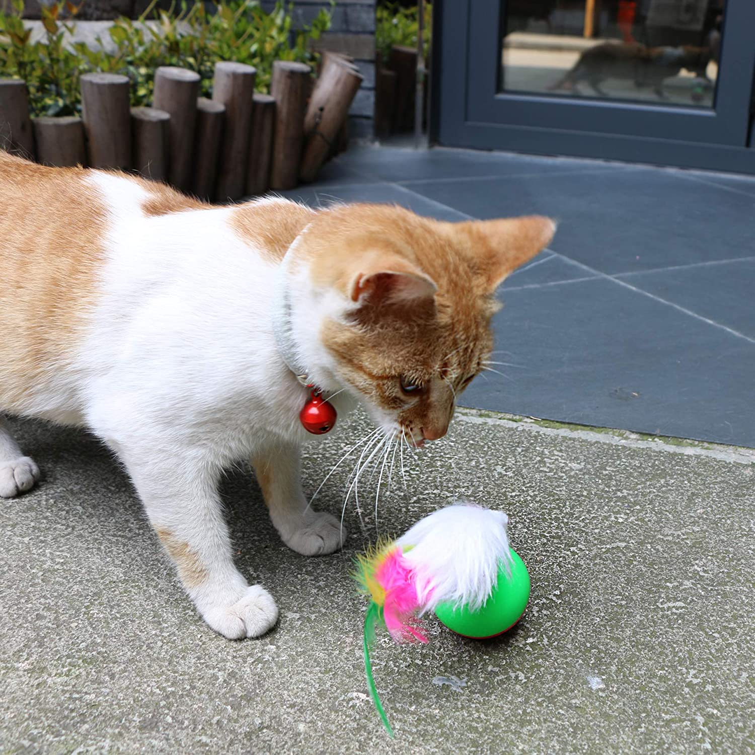 Foto 4 pulgar | Cat Toys Sanlin Beans 21 Unidades Con Forma De Túnel Surtido Para Gatitos - Venta Internacional.