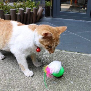 Foto 3 | Cat Toys Sanlin Beans 21 Unidades Con Forma De Túnel Surtido Para Gatitos - Venta Internacional.