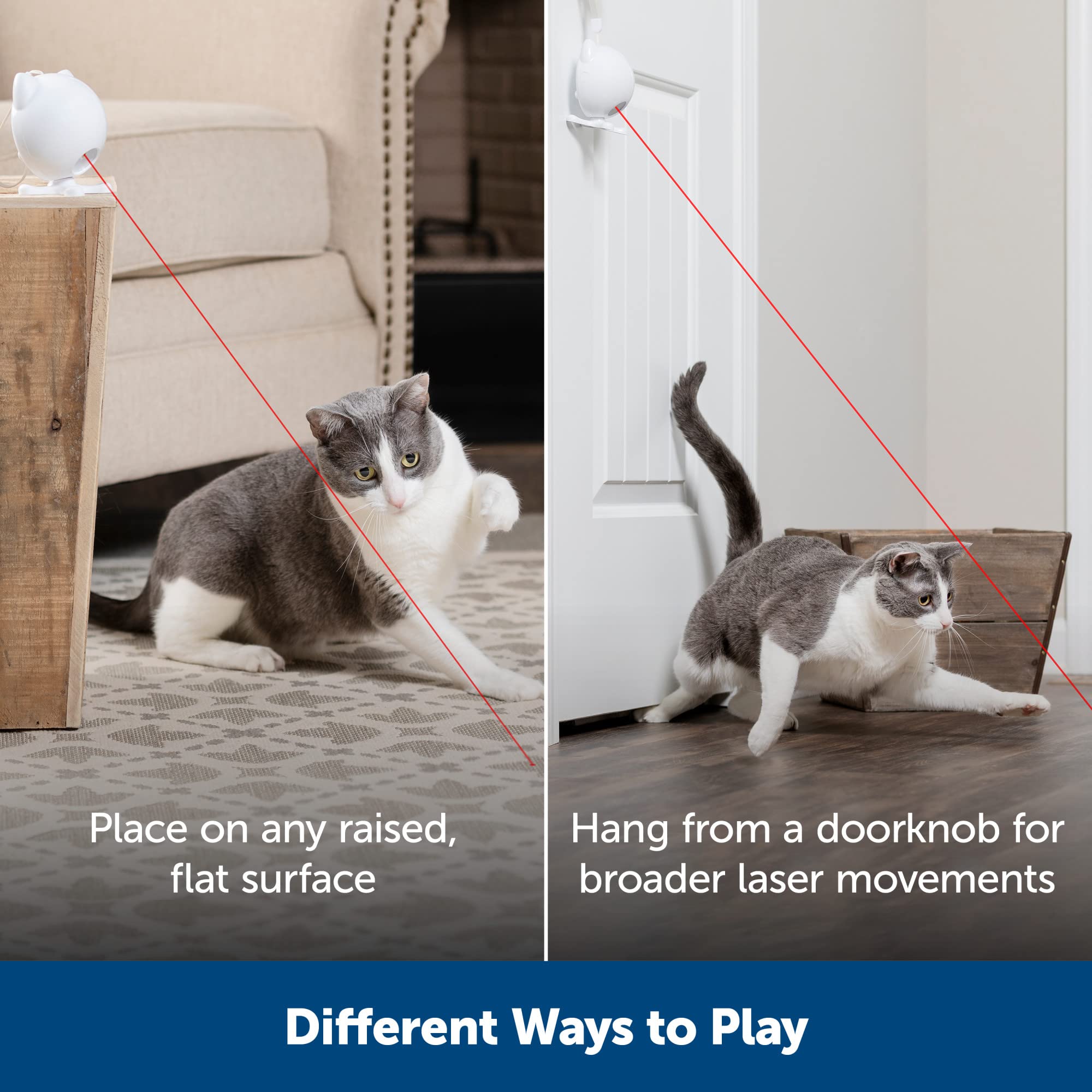 Foto 5 pulgar | El Juguete Láser Automático Para Gatos Petsafe Dancing Dot Alivia La Ansiedad - Venta Internacional.