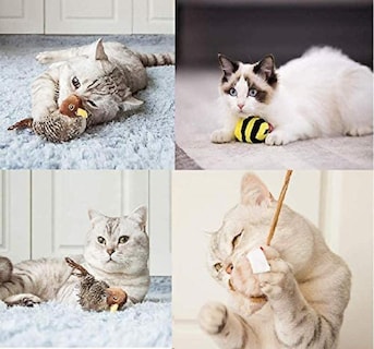 Foto 1 | Set Interactivo De Juguetes Para Gatos Con Sonido Animal De Huoguo - Venta Internacional.