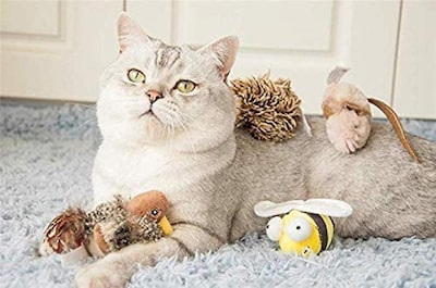 Foto 3 | Set Interactivo De Juguetes Para Gatos Con Sonido Animal De Huoguo - Venta Internacional.