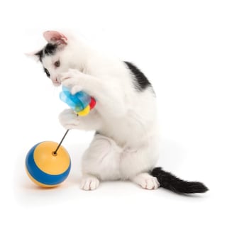 Foto 7 | Juguete Interactivo Para Gatos Catit Play Spinning Bee Con Dispensador De Golosinas - Venta Internacional.