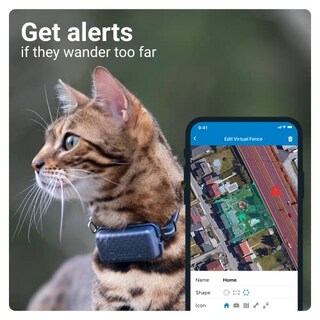 Foto 7 | Gps Cat Tracker Tractive Mini A Prueba De Agua Con Monitor De Actividad - Venta Internacional.