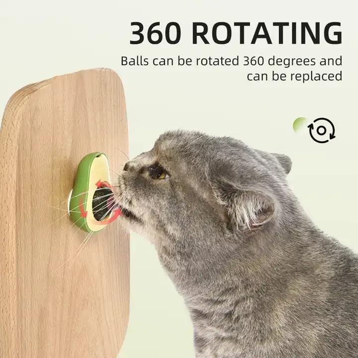 Foto 4 pulgar | Golosinas Orgánicas De Aguacate Y Hierba Gatera Para Gatos Toy Para La Salud Bucal - Venta Internacional.