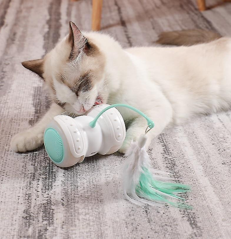 Foto 4 | Coche Eléctrico Para Burlarse De Cat Toy Huoguo Con Control Remoto Led - Venta Internacional.