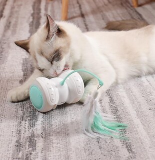 Foto 4 | Coche Eléctrico Para Burlarse De Cat Toy Huoguo Con Control Remoto Led - Venta Internacional.