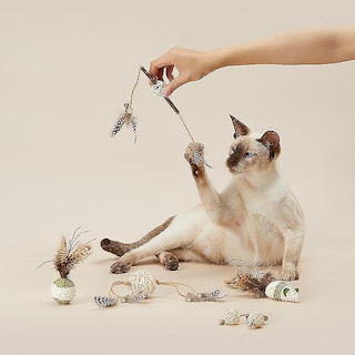 Foto 1 | Juego De 5 Juguetes Para Gatos Mutian Polygonum Para Gatitos Catnip - Venta Internacional.