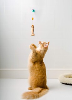Foto 4 | Paquete Variado De Juguetes Hartz Solo Para Gatos Super Hunters - Venta Internacional.