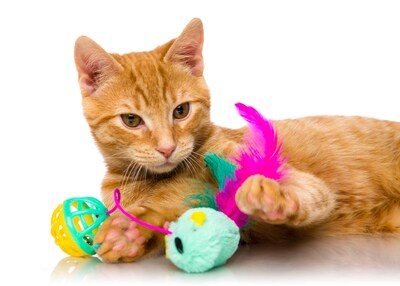 Foto 5 | Paquete Variado De Juguetes Hartz Solo Para Gatos Super Hunters - Venta Internacional.