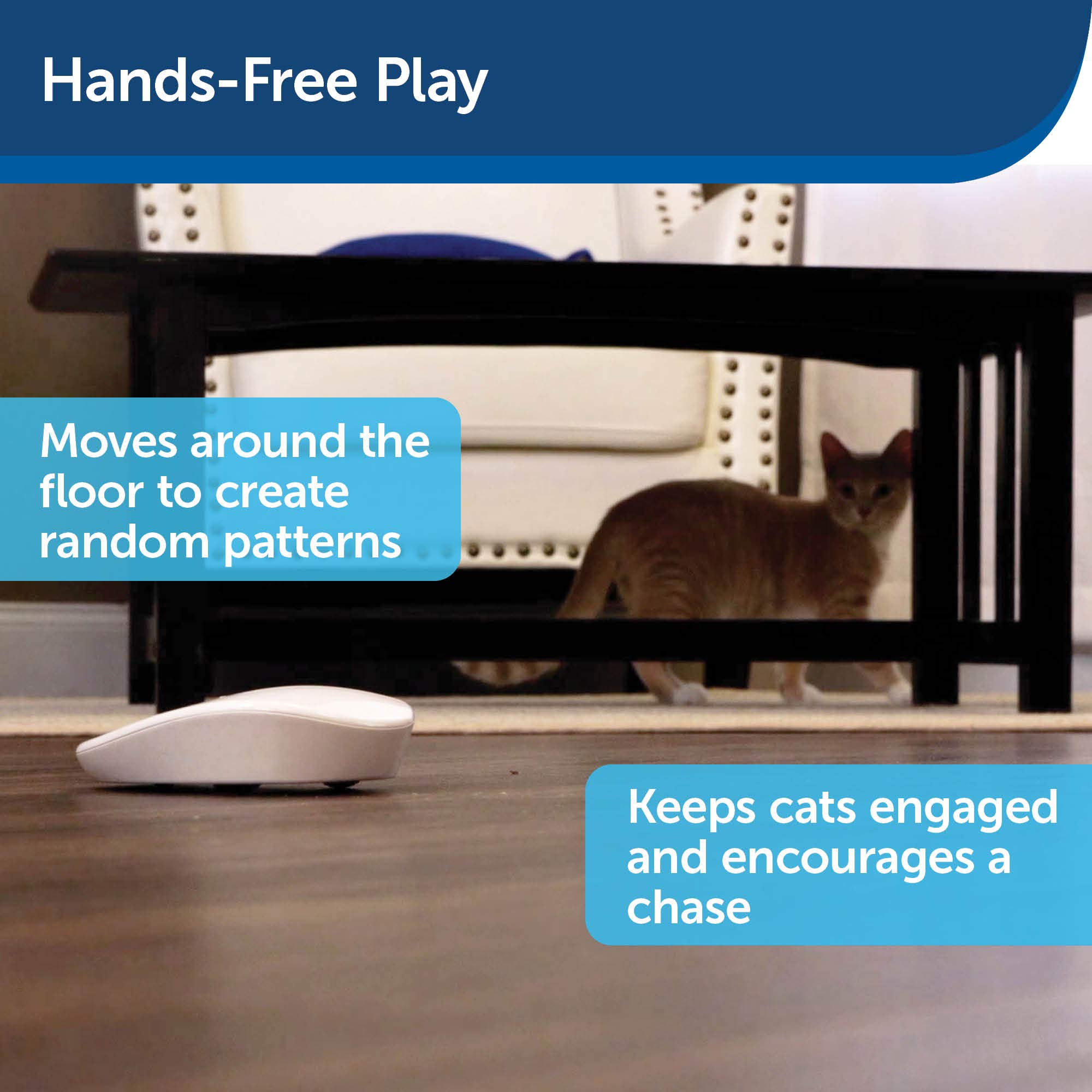 Foto 4 pulgar | Juguete Láser Para Gatos Petsafe Laser Tail Automático Interactivo - Venta Internacional.