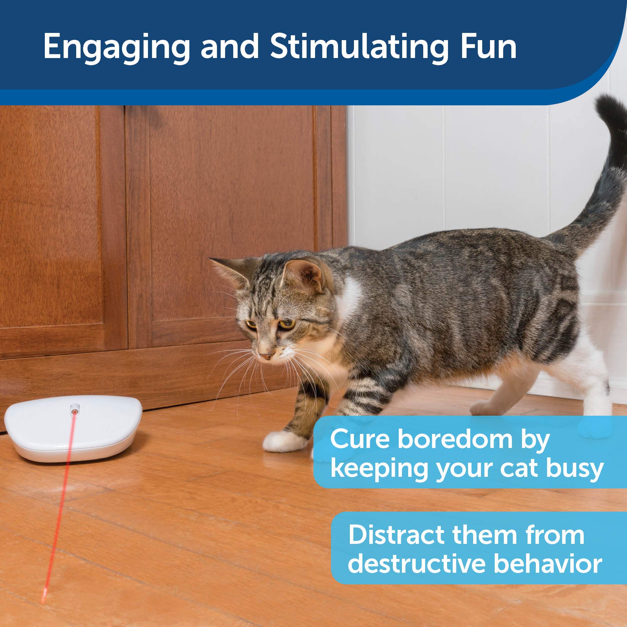 Foto 5 | Juguete Láser Para Gatos Petsafe Laser Tail Automático Interactivo - Venta Internacional.