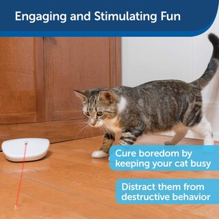 Foto 5 | Juguete Láser Para Gatos Petsafe Laser Tail Automático Interactivo - Venta Internacional.