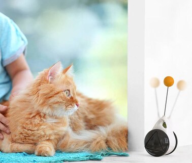 Foto 3 | Cat Toys Httn Interactive Con Catnip Roll Ball En Forma De Bastón - Venta Internacional.