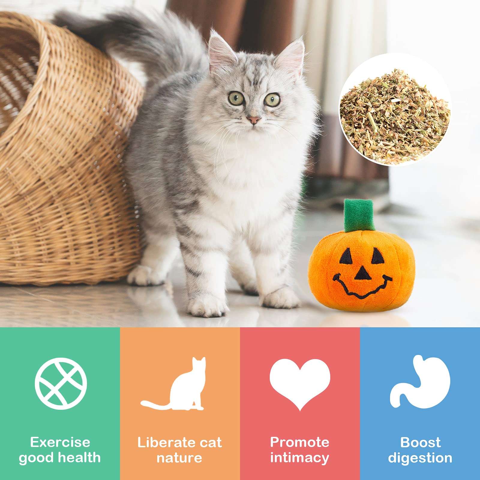 Foto 4 pulgar | Calabaza Para El Día De Acción De Gracias De Cat Toy Frienda Con Hierba Gatera, 2 Unidades - Venta Internacional.