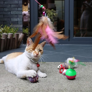 Foto 3 | Cat Toys Huoguo 21 Unidades Con Forma De Túnel Surtido Para Gatitos Y Peces Gateros - Venta Internacional.