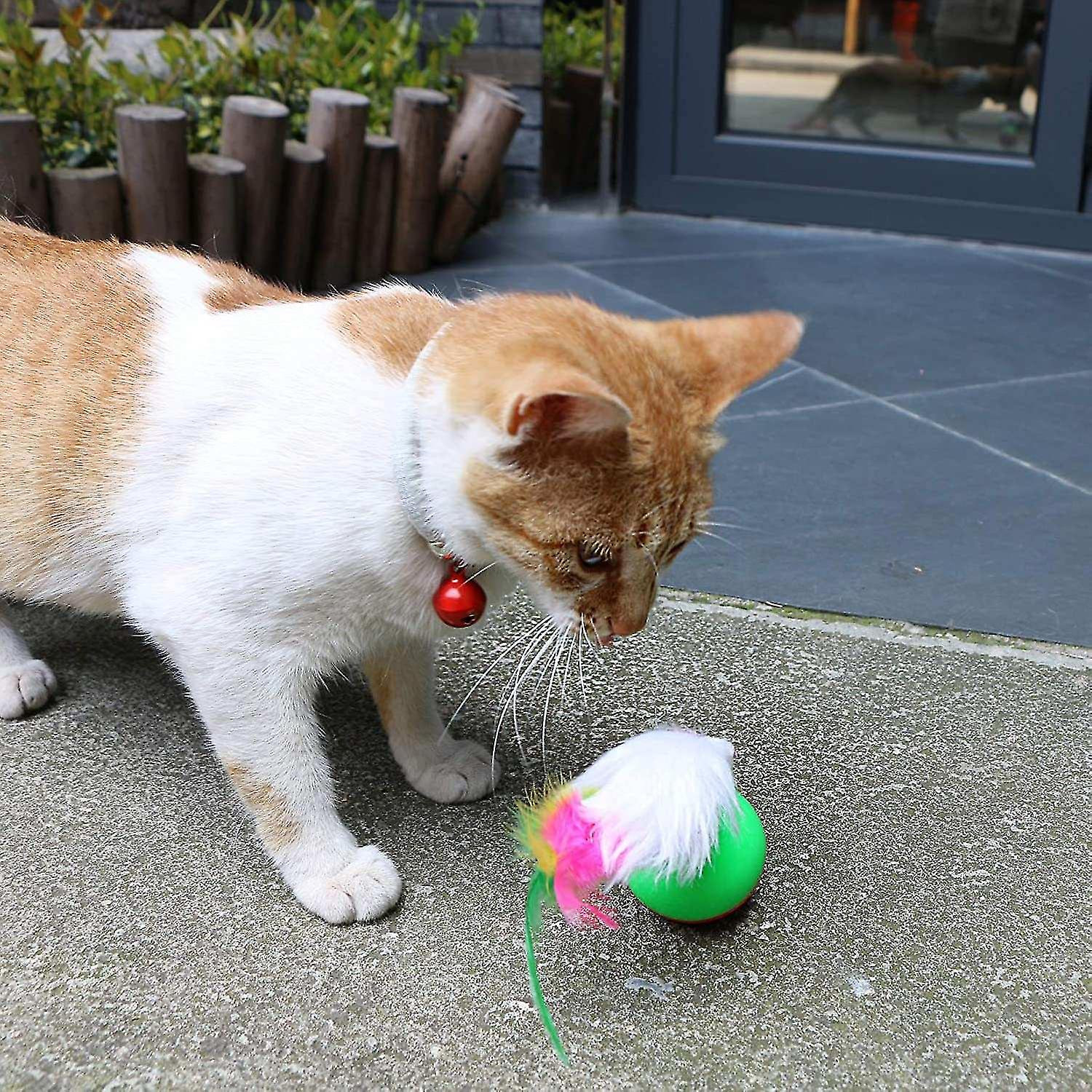Foto 5 pulgar | Cat Toys Huoguo 21 Unidades Con Forma De Túnel Surtido Para Gatitos Y Peces Gateros - Venta Internacional.