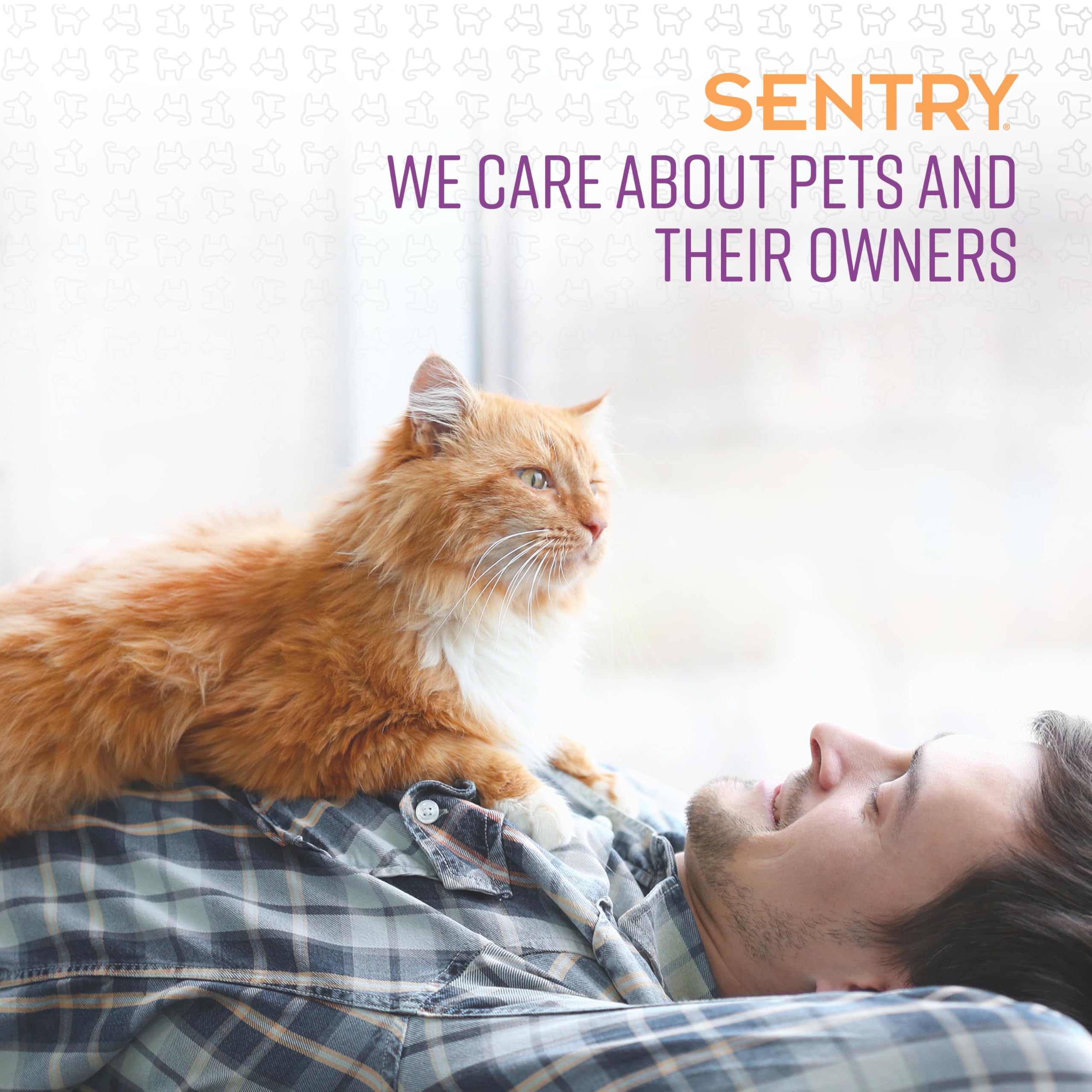 Foto 5 | El Collar Calmante Para Gatos Sentry Pet Care 30 Días Reduce El Estrés - Venta Internacional.