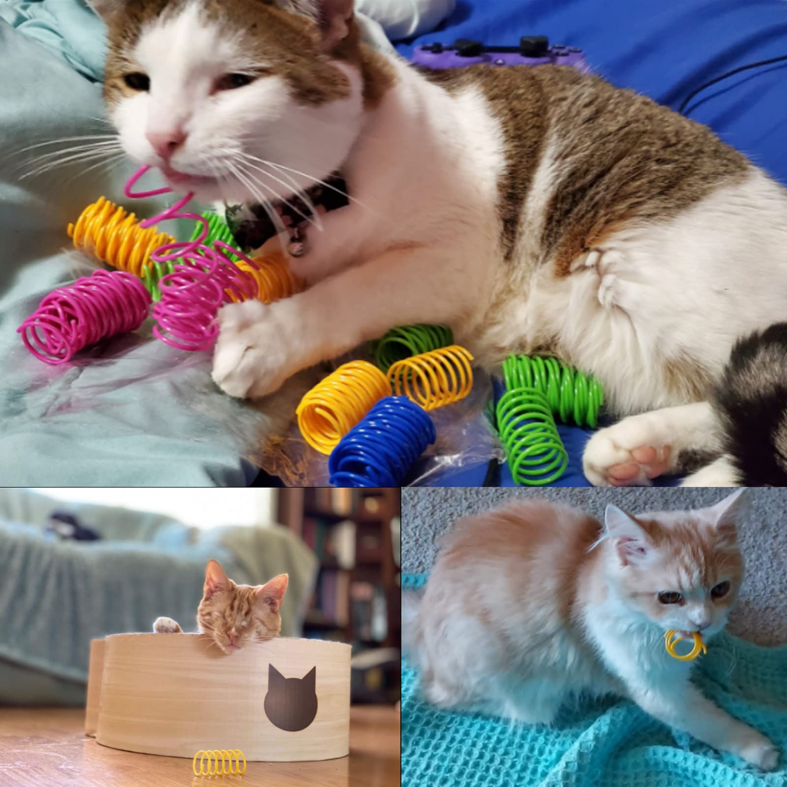 Foto 6 | Muelles Coloridos De Plástico Cat Spring Toys Ismarten (10 Unidades) - Venta Internacional.