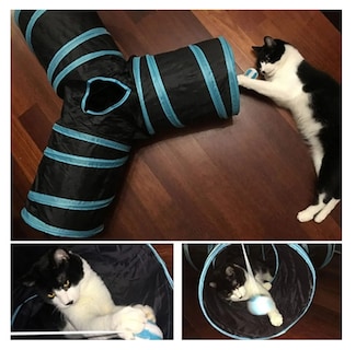 Foto 5 | Túnel Plegable Para Mascotas Con 3 Salidas
