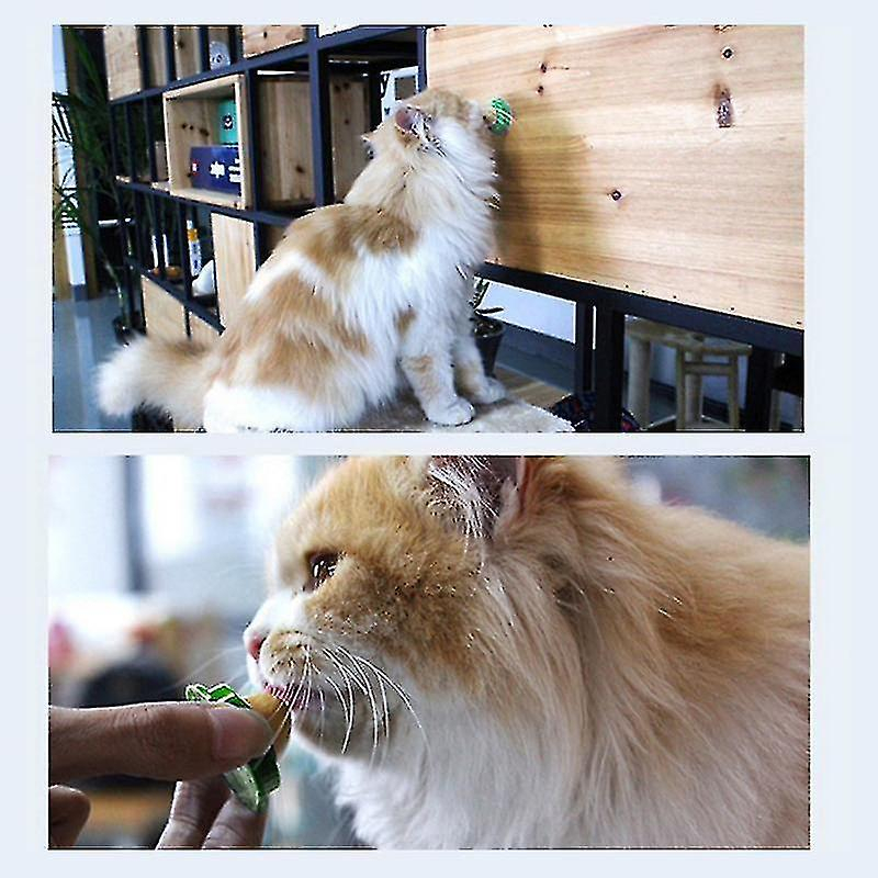 Foto 2 | Juguete Para Gatos Huoguo, Bocadillos Saludables Para Gatos Y Mascotas, Hierba Gatera, Azúcar - Venta Internacional.