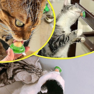 Foto 3 | Juguete Para Gatos Huoguo, Bocadillos Saludables Para Gatos Y Mascotas, Hierba Gatera, Azúcar - Venta Internacional.